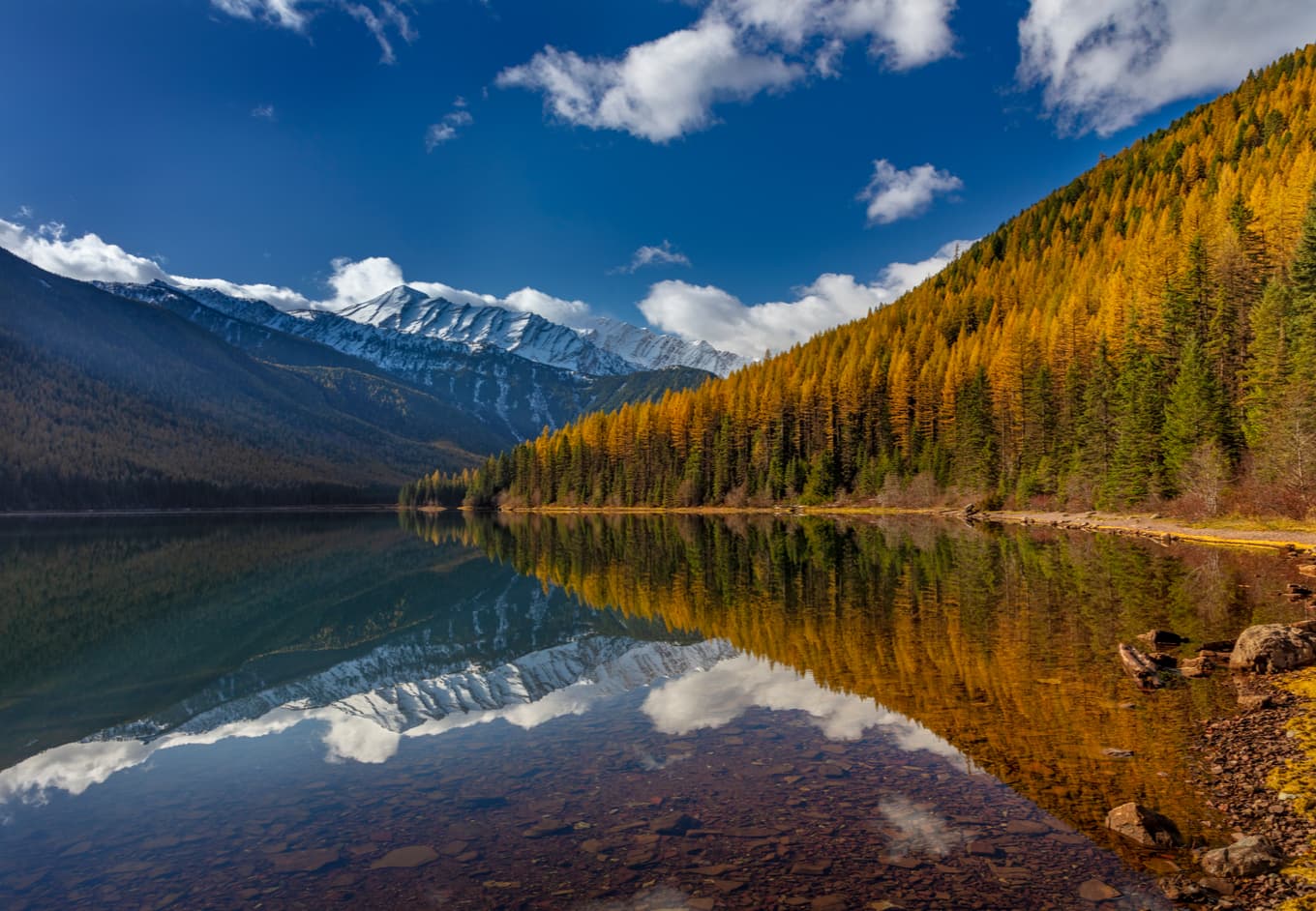 Flathead National Forest